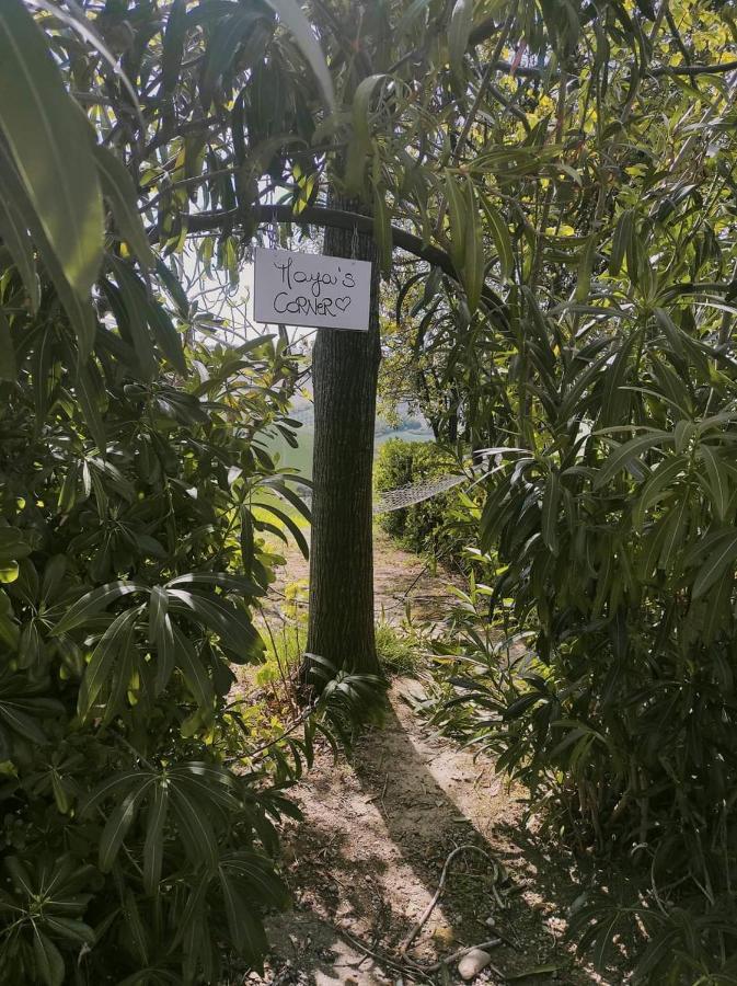 Pensjonat Country-House Pecora Nera Mosciano SantʼAngelo Zewnętrze zdjęcie