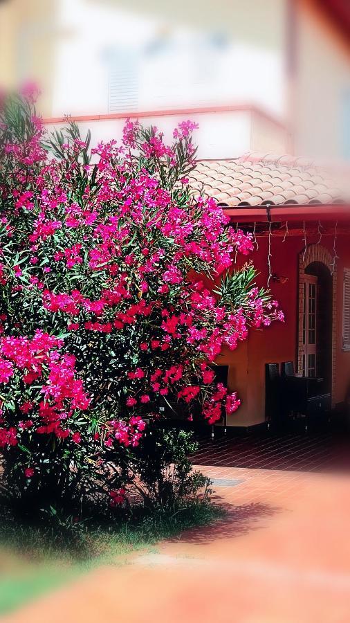 Pensjonat Country-House Pecora Nera Mosciano SantʼAngelo Zewnętrze zdjęcie