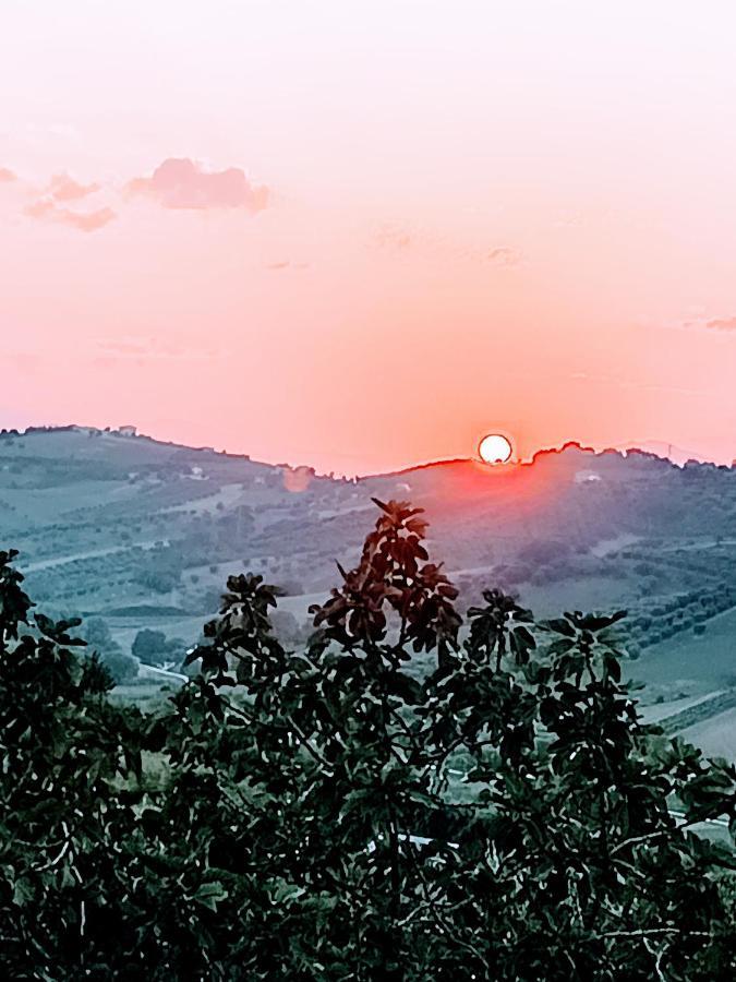 Pensjonat Country-House Pecora Nera Mosciano SantʼAngelo Zewnętrze zdjęcie