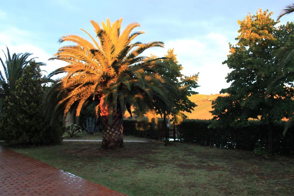 Pensjonat Country-House Pecora Nera Mosciano SantʼAngelo Zewnętrze zdjęcie