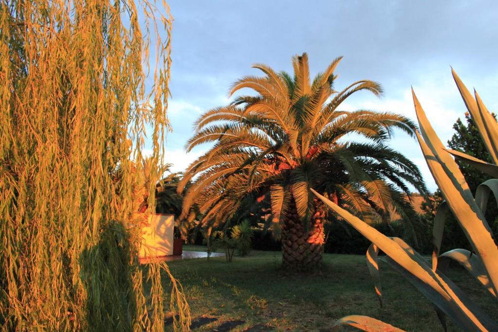 Pensjonat Country-House Pecora Nera Mosciano SantʼAngelo Zewnętrze zdjęcie