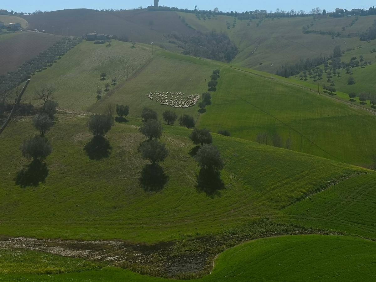 Pensjonat Country-House Pecora Nera Mosciano SantʼAngelo Zewnętrze zdjęcie